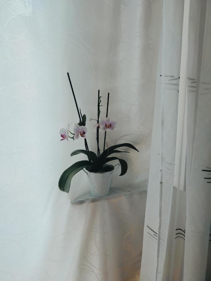 Fami Superior One Bedroom Apartment Rijeka Eksteriør bilde